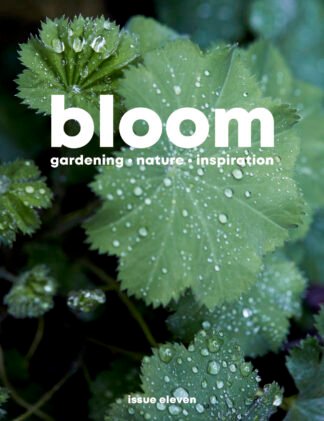 Bloom #11
