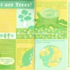 Seed Magazeen #8 - Image 2