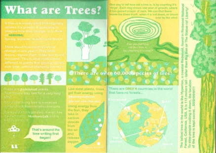 Seed Magazeen #8 - Image 2